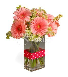 To my mom!